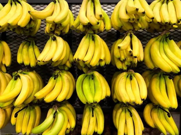 Fresh bananas